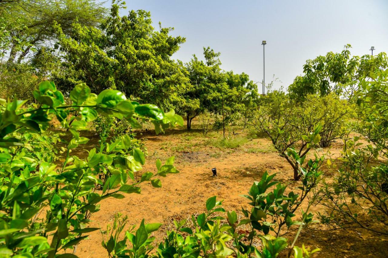 Sai Eco * Jaipur