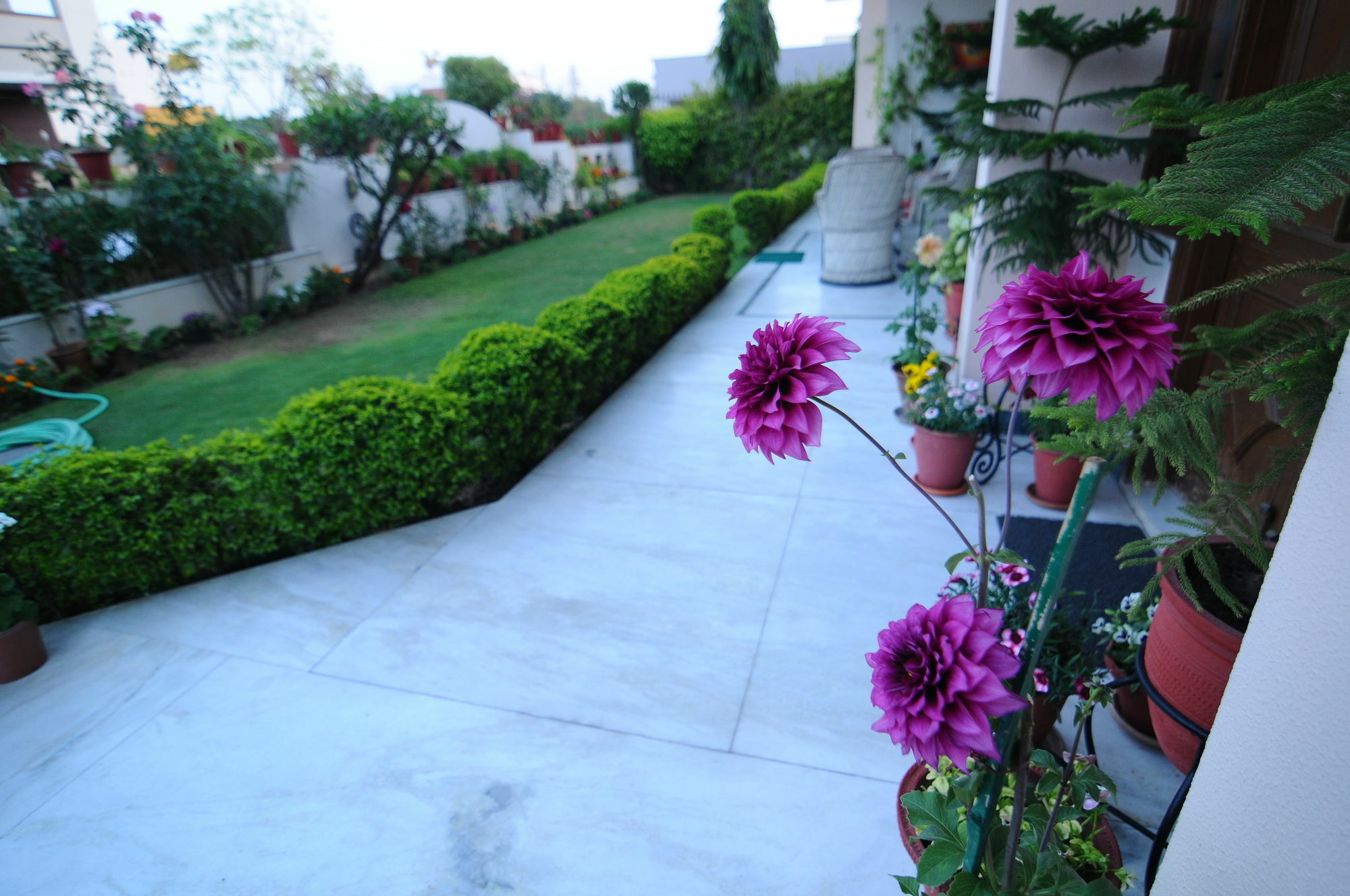 Friendly Jaipur