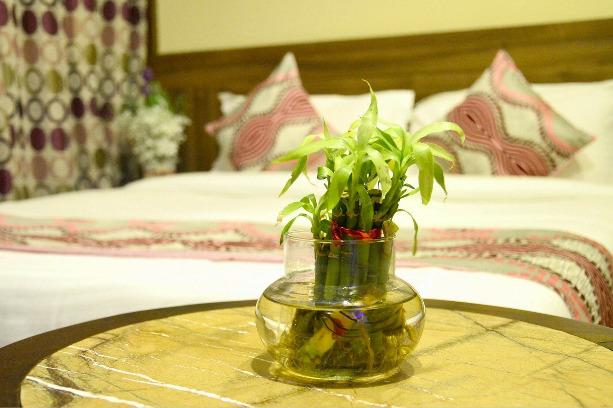 Neelam Paradise 3*