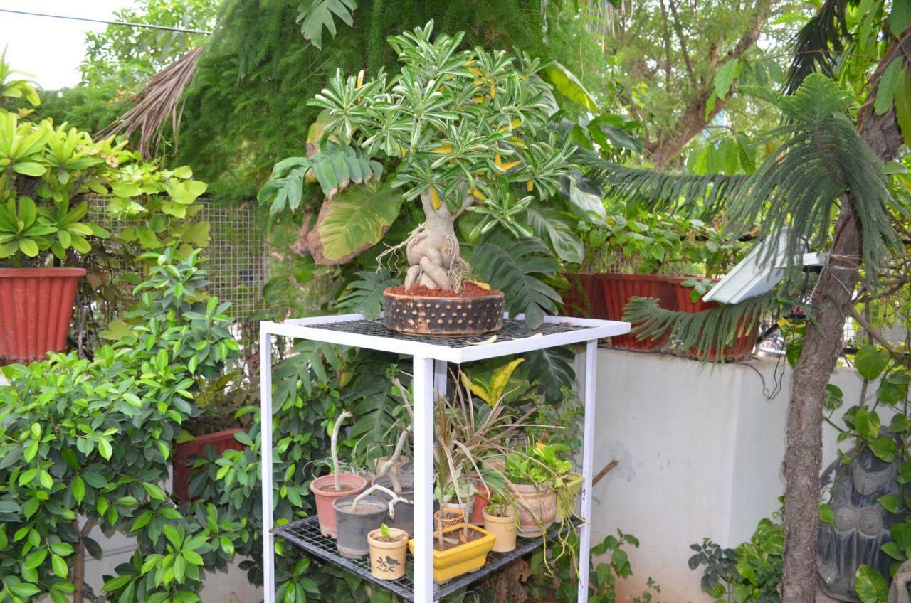 Oasis House Jaipur