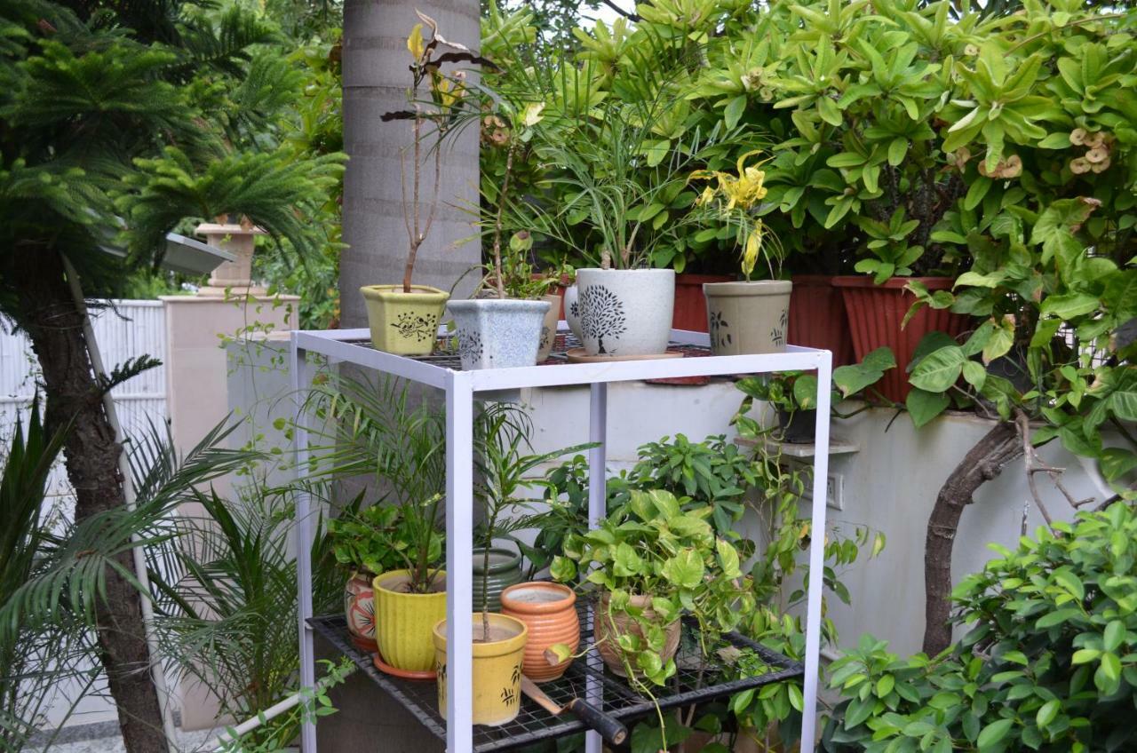 Bed & Breakfast Oasis House *
