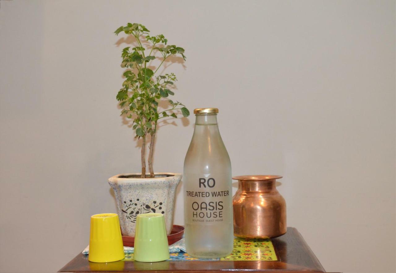 Oasis House Jaipur