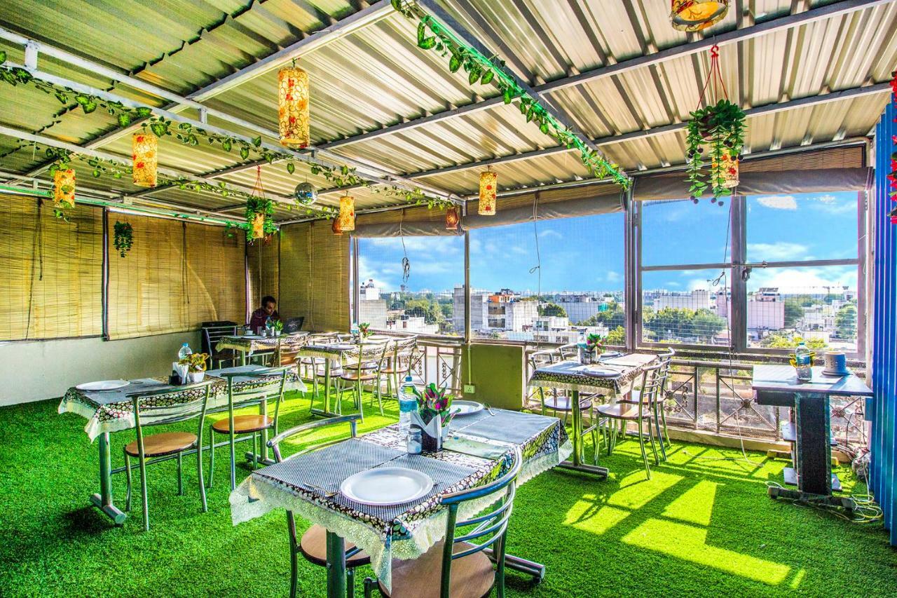 Hotel Trivana