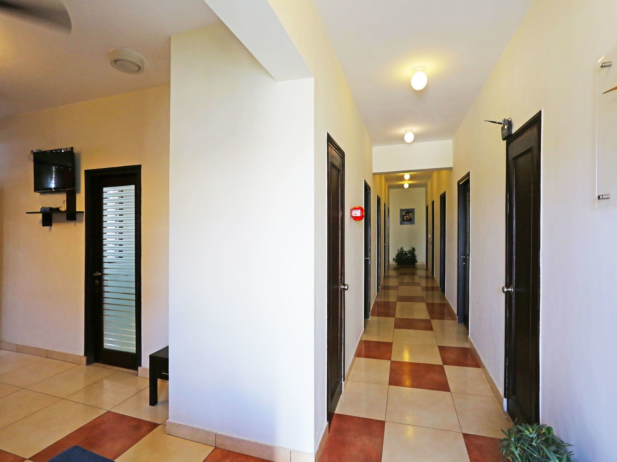 Oyo 4646 Hari Hotel Jaipur