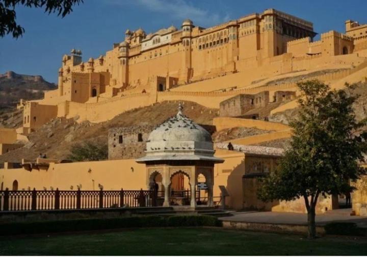 Amer Classic Jaipur