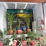 Hotel Royal Sunshine