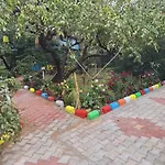 Sukoon Natural Farm