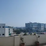 The Paavilion