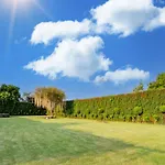 Palette - Madhogarh
