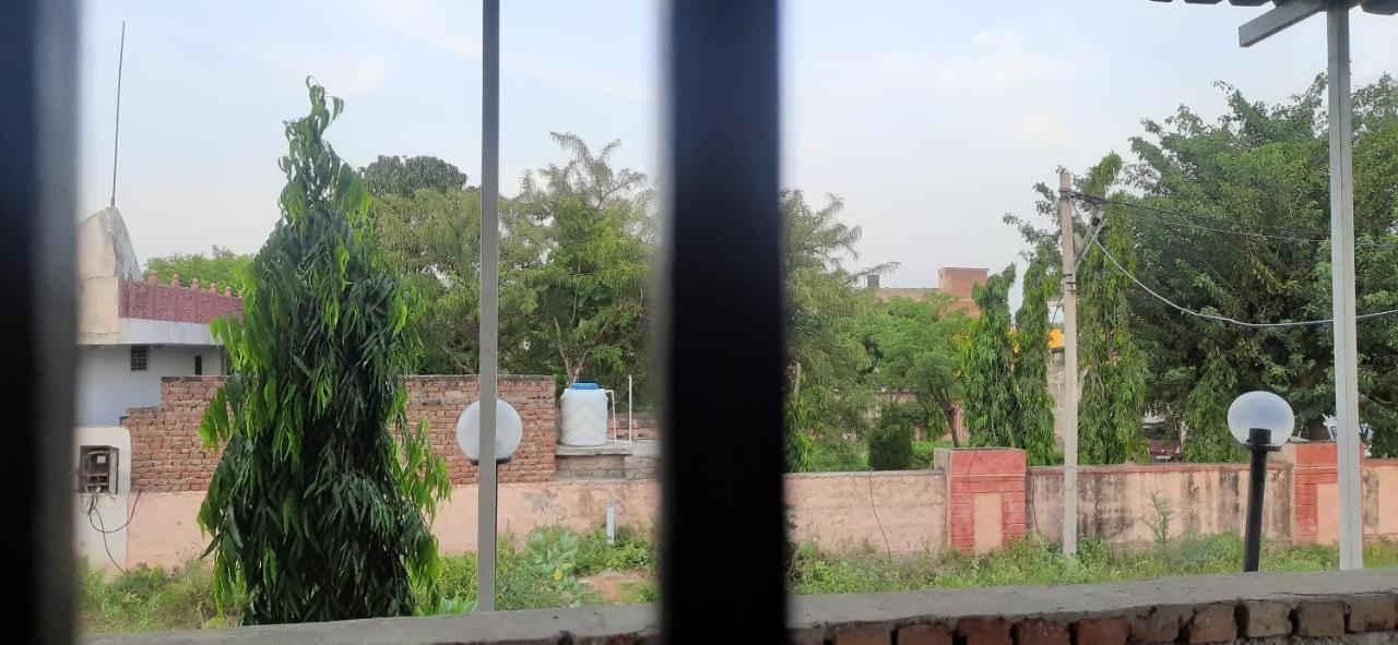 Janki Chandra - & Pg * Jaipur