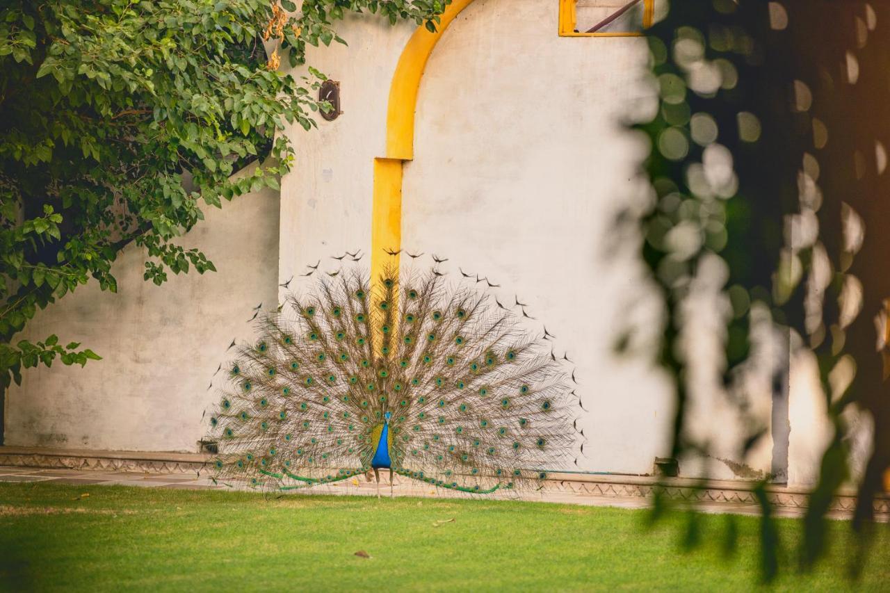 Diggi Palace - A Center Hidden Heritage Gem Hotel