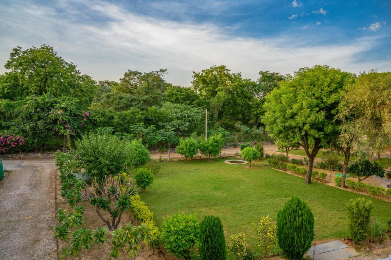 The Bagheera Heritage By Earthaa Escapes, Jaipur
