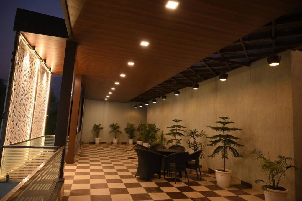 Acorn Jaipur
