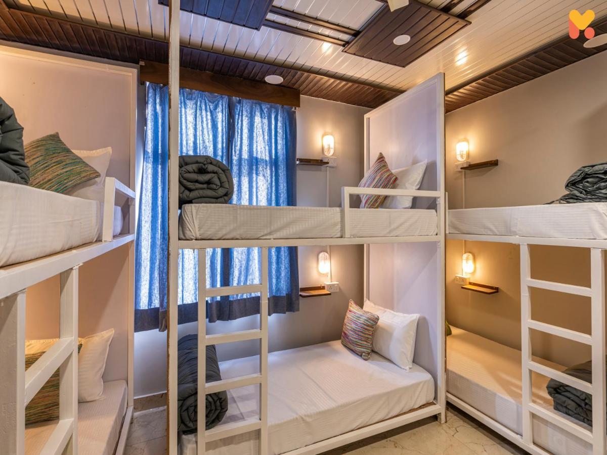 Hostel Madpackers *