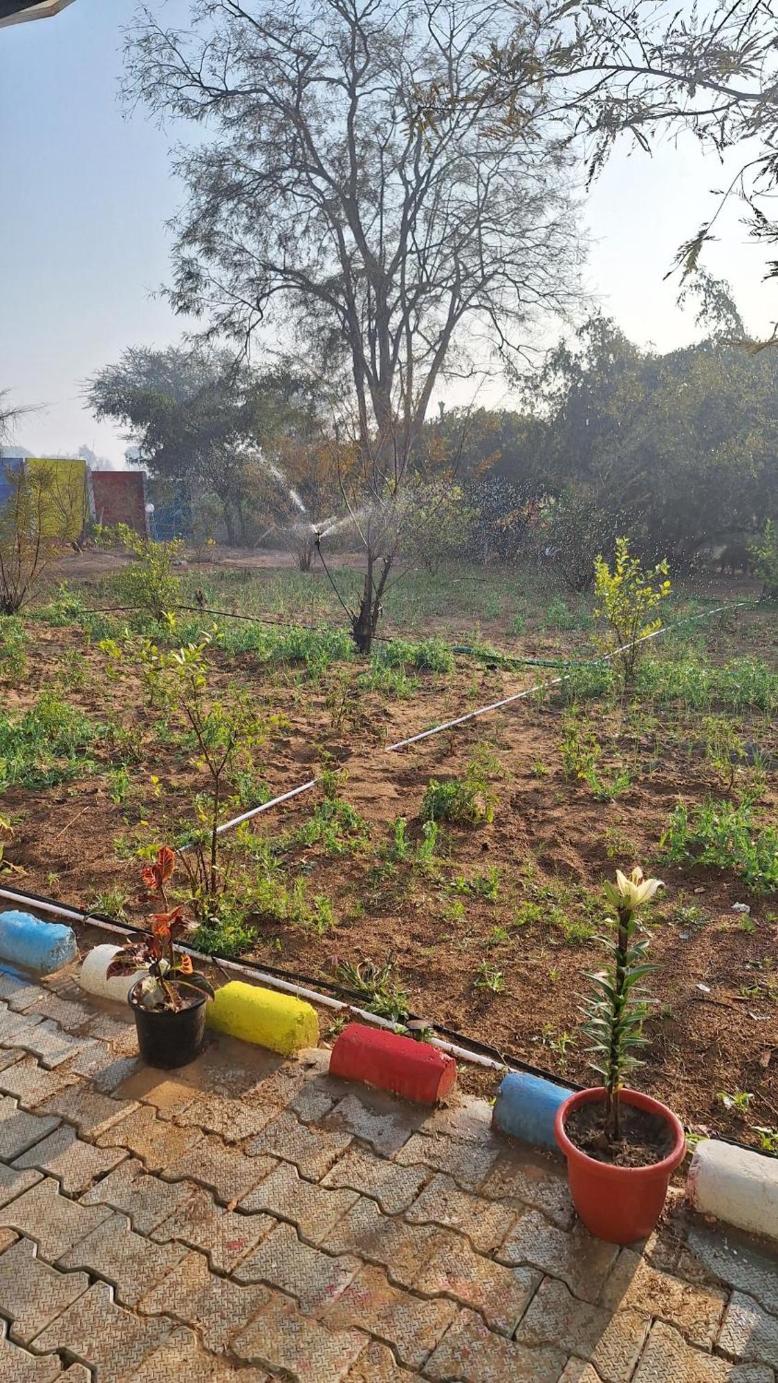 Farm stay Sukoon Natural Farm Jaipur