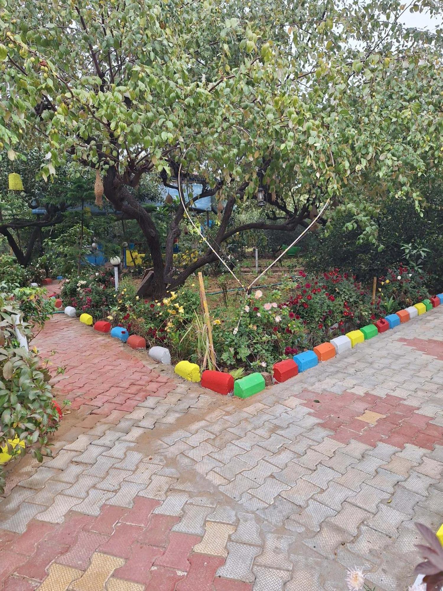 Sukoon Natural Farm * Jaipur
