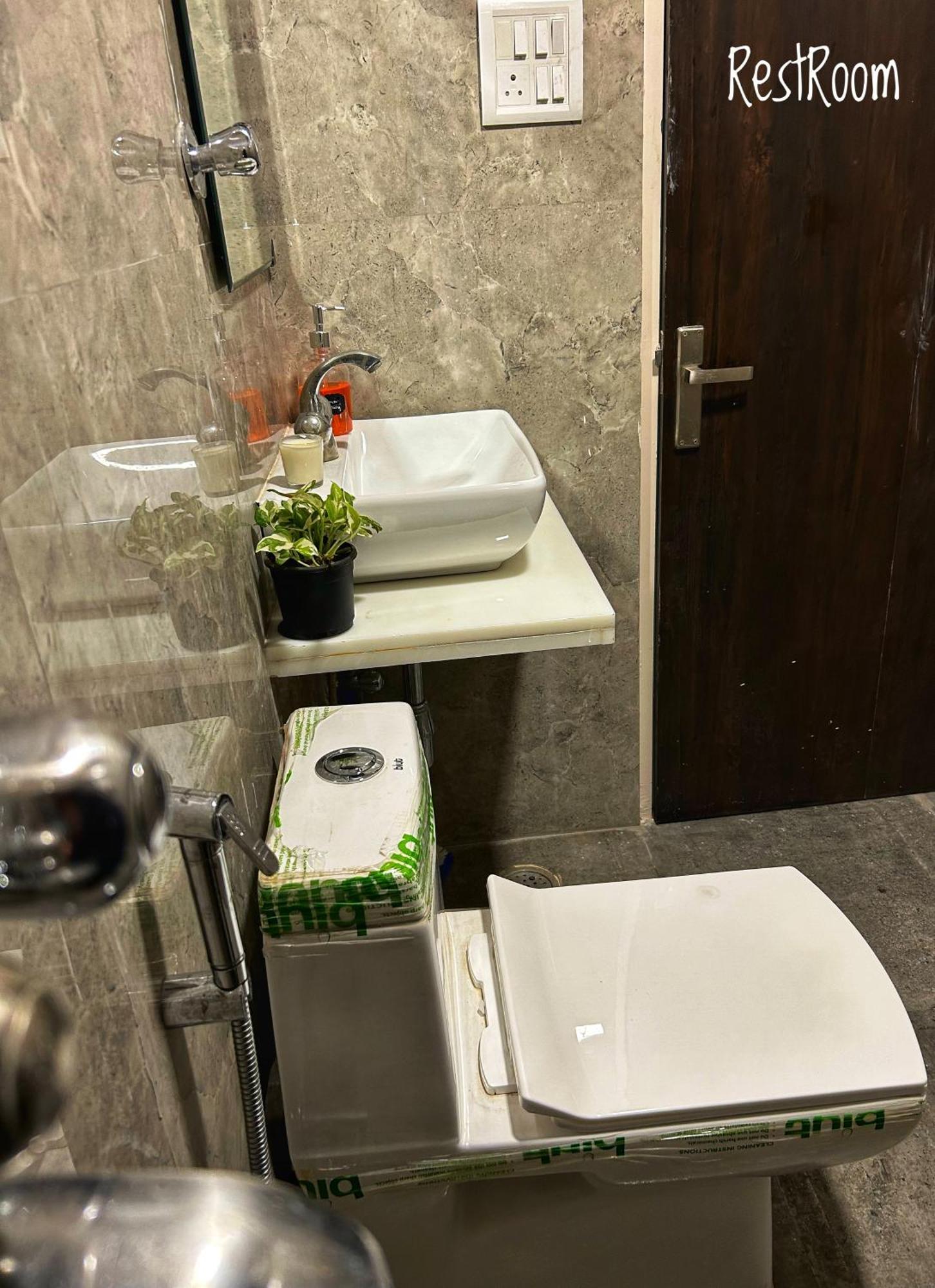 Elysium * Jaipur