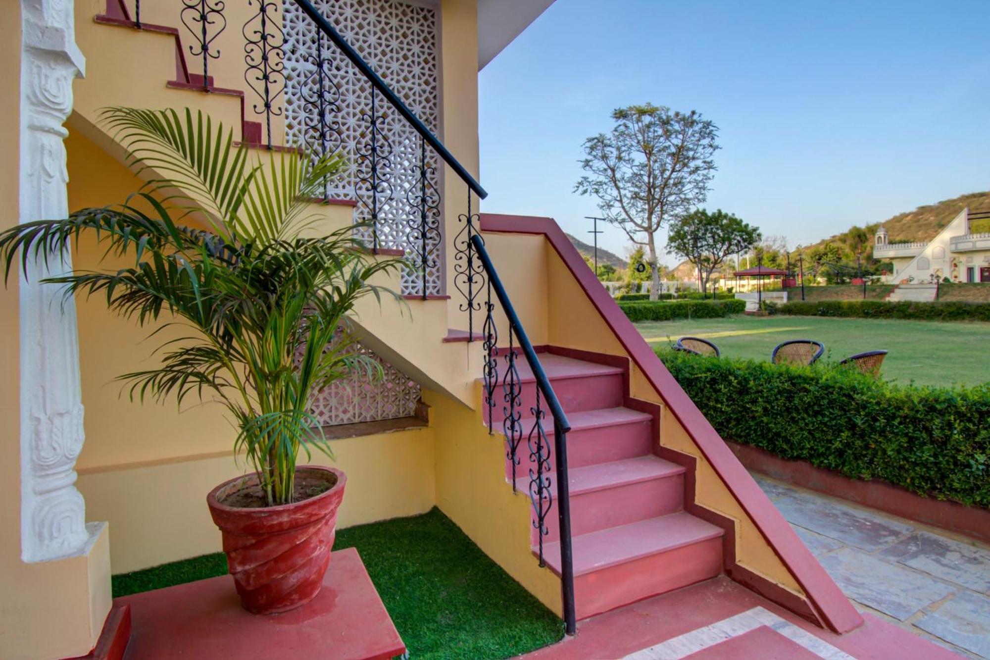 Palette - Rani Bagh