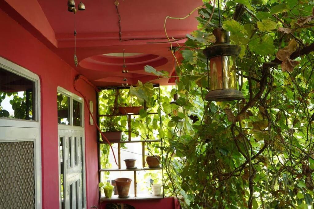 Cinevista 2bhk Aesthetic Flat With Theatre Apartment
