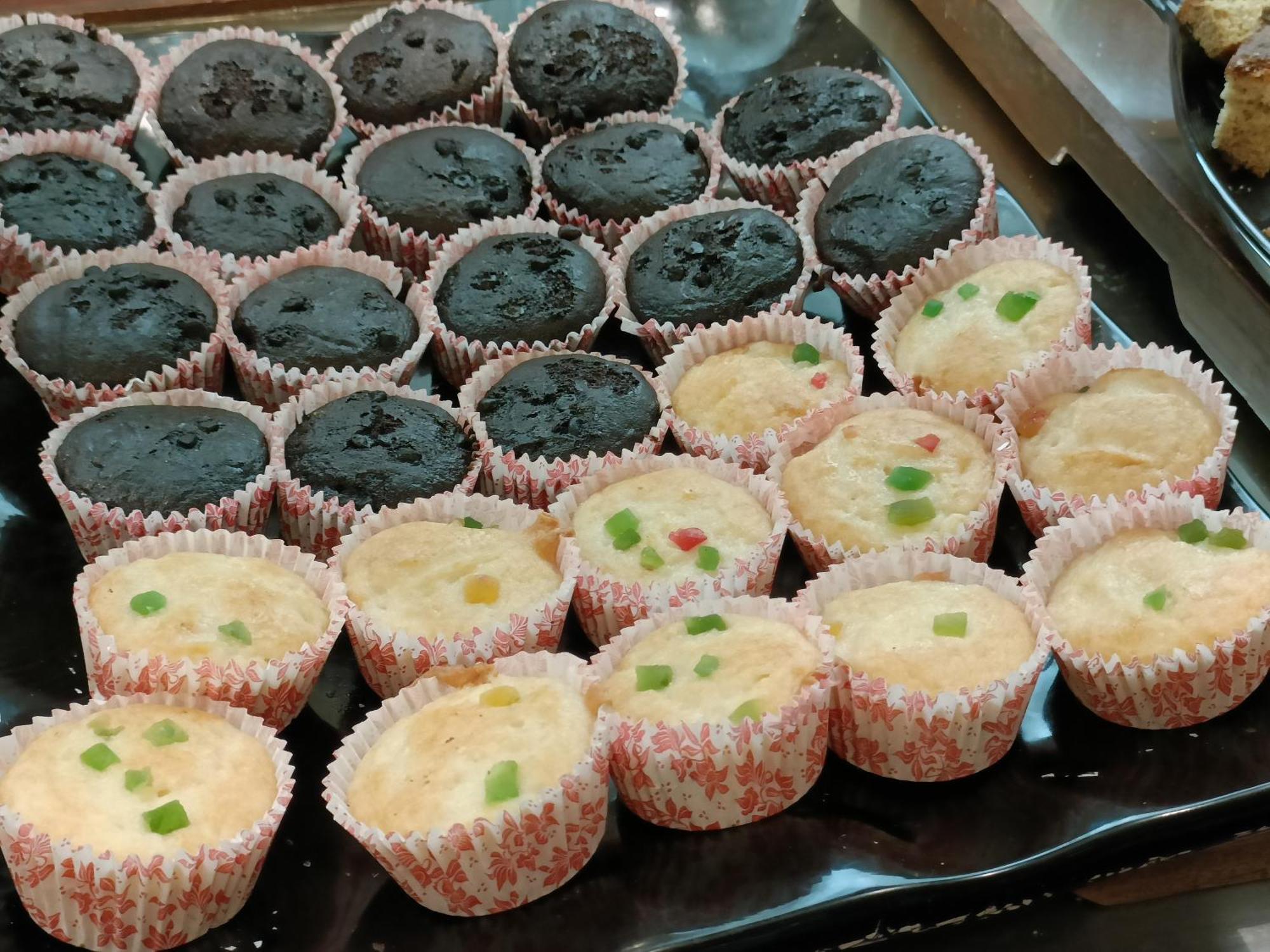 Vesta International Hotel Jaipur