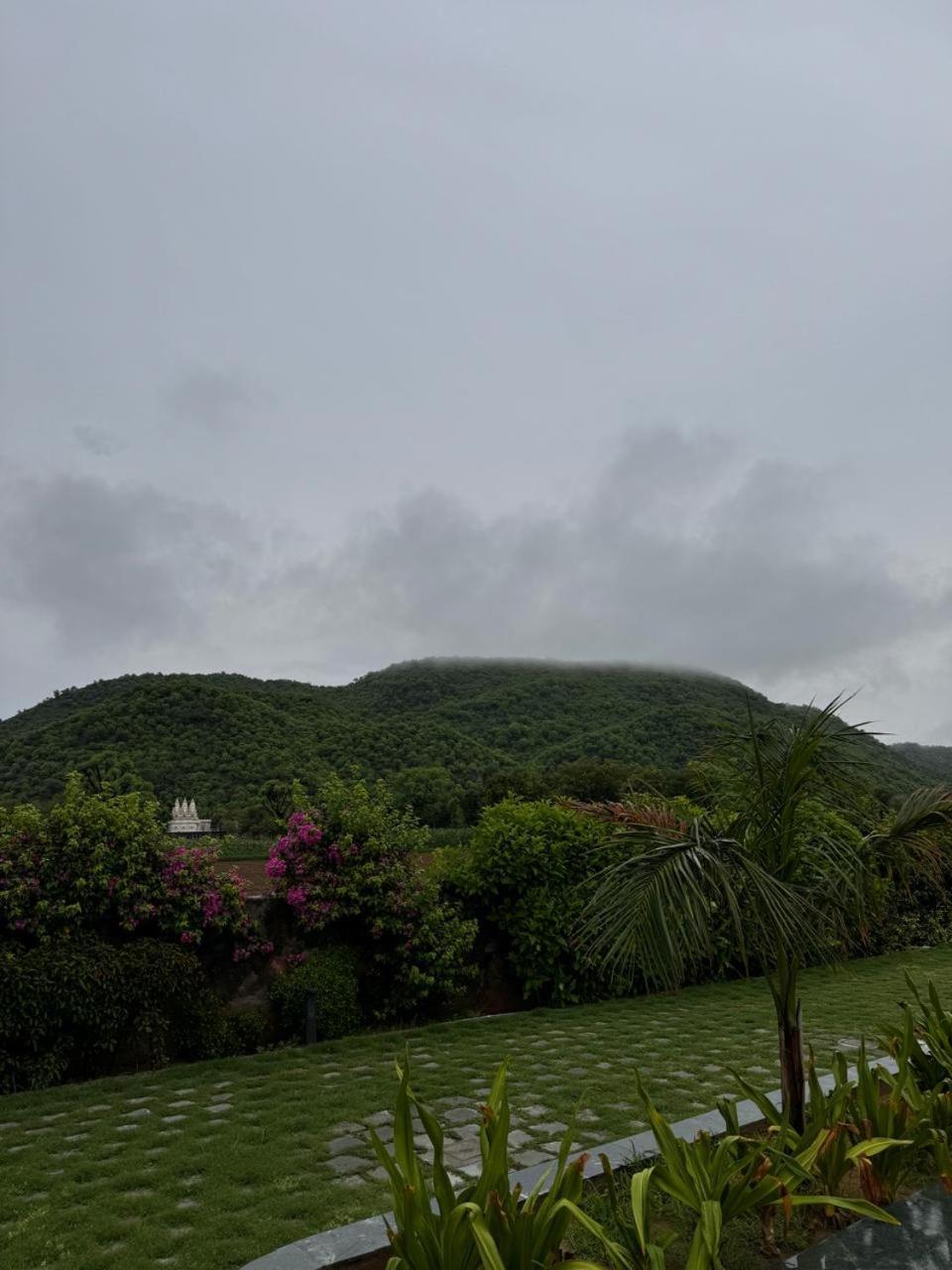 Farm stay Amore Farms Kukas Jaipur