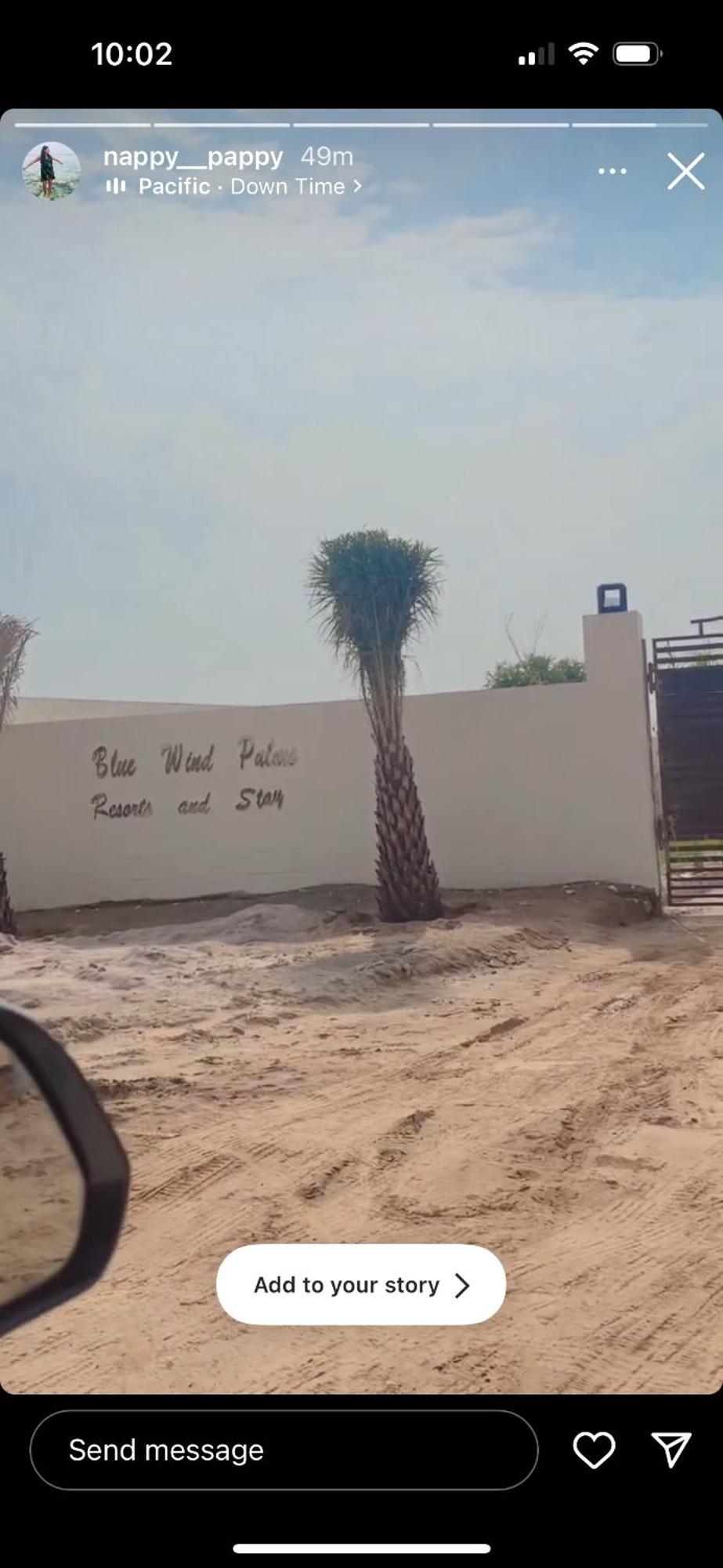 Blue Wind Palms And Jaipur