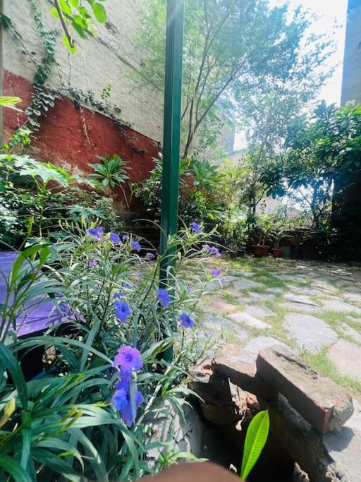 Bhoora House Guest house *