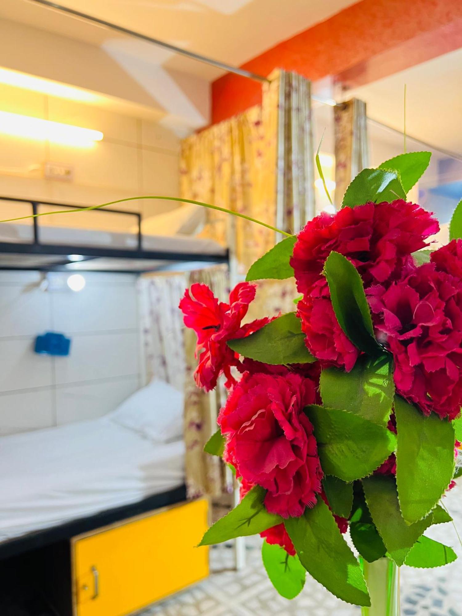 Moon Light Palace Hotel Jaipur