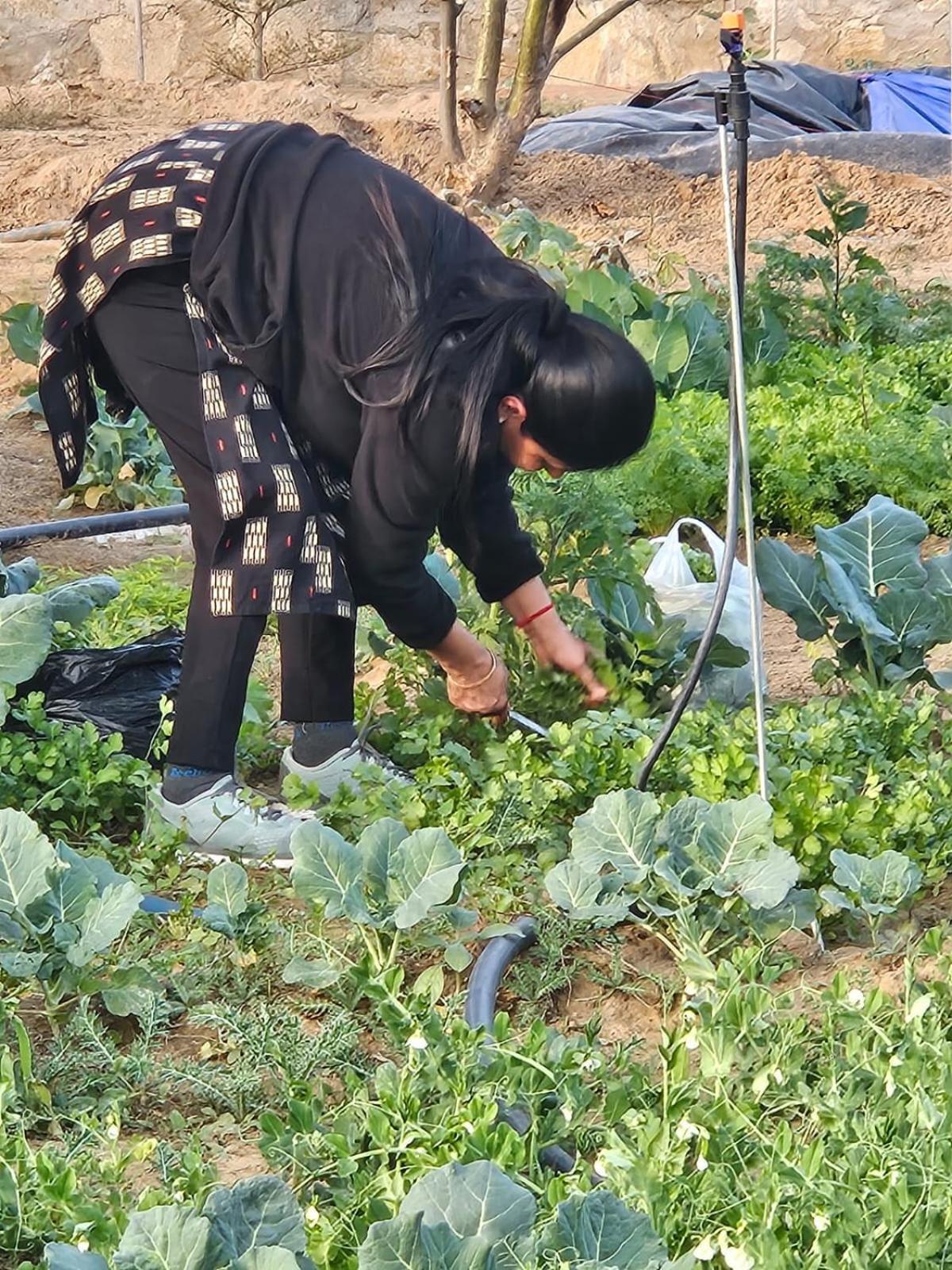 Bliss Farm Jaipur