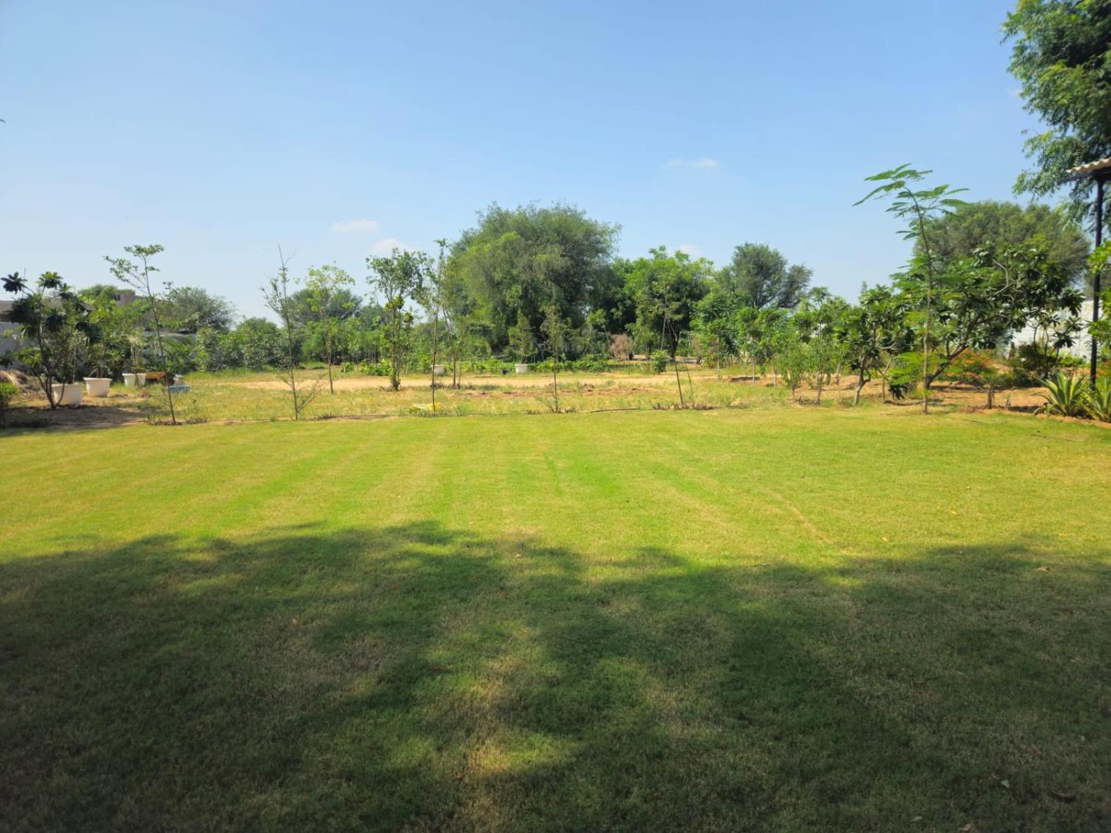 Bliss Farm *