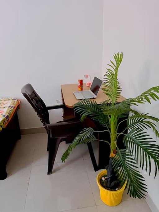 Spacious In Heart Of The * Jaipur