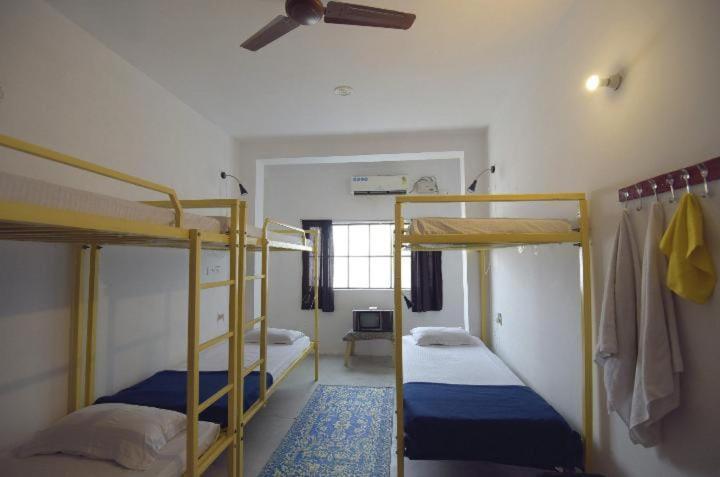 Eco Family Hostel Jaipur