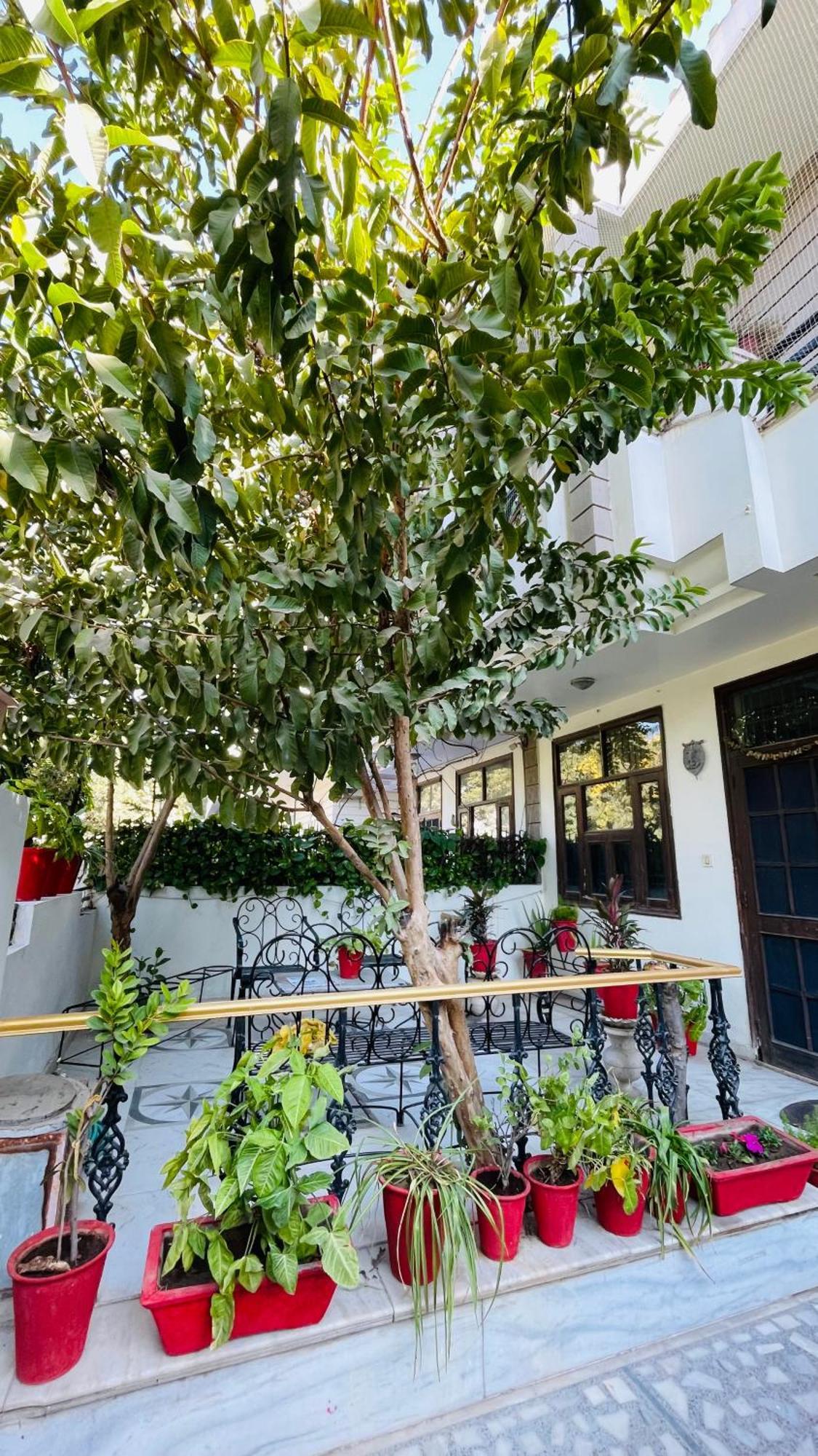 Guest house Kunadi Kothi - A Boutique *