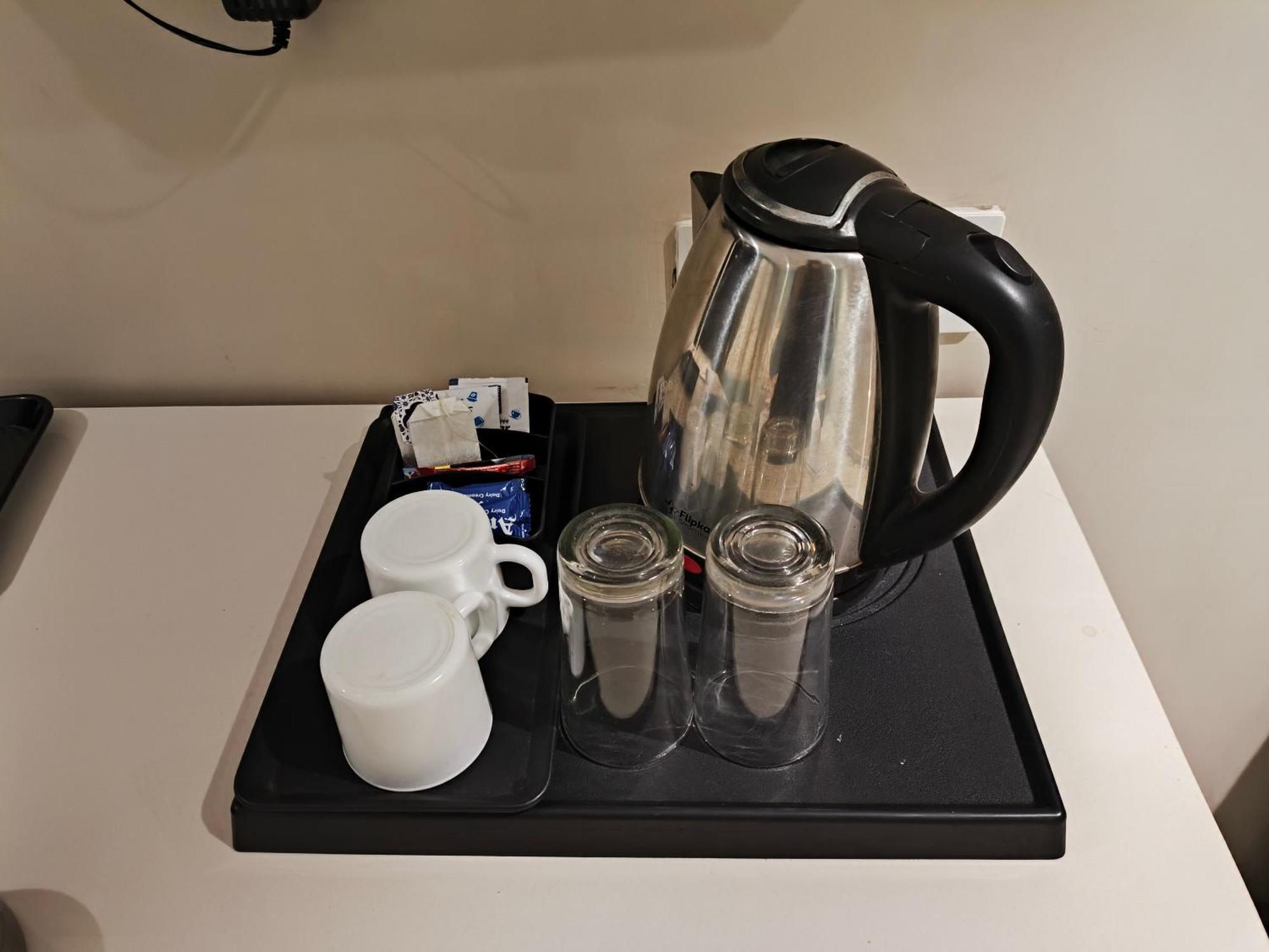 Hotel Raghuraj Palace 3*