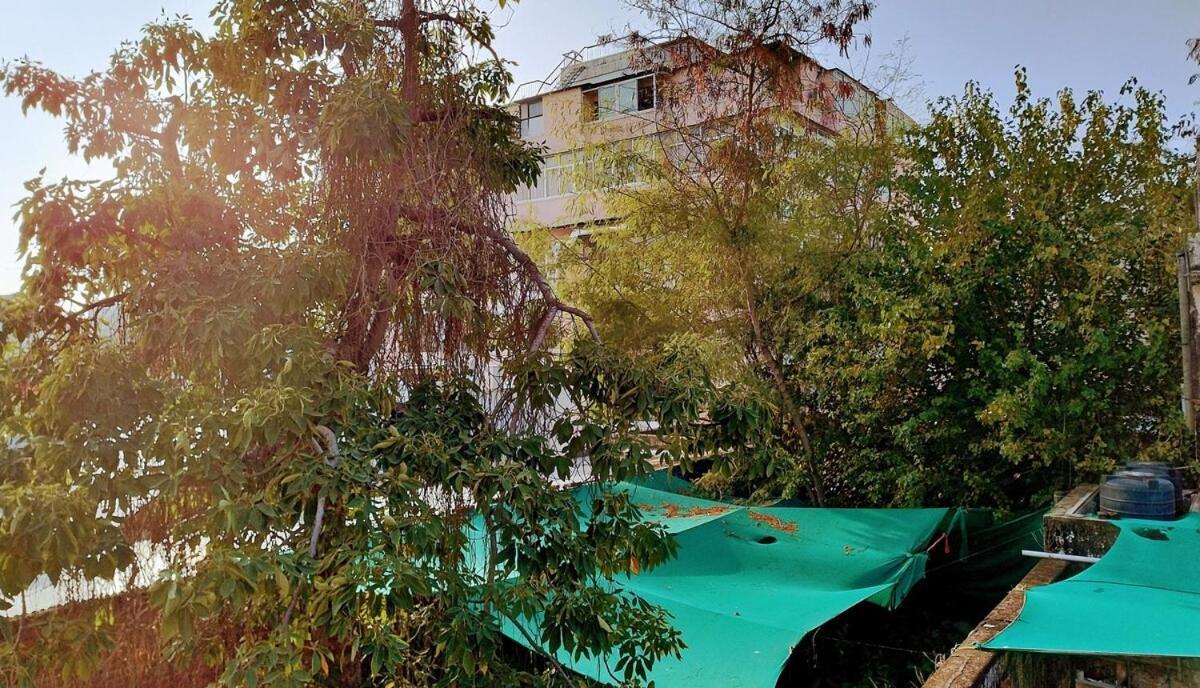 Holiday home D-261, Bani Park Entire Place *