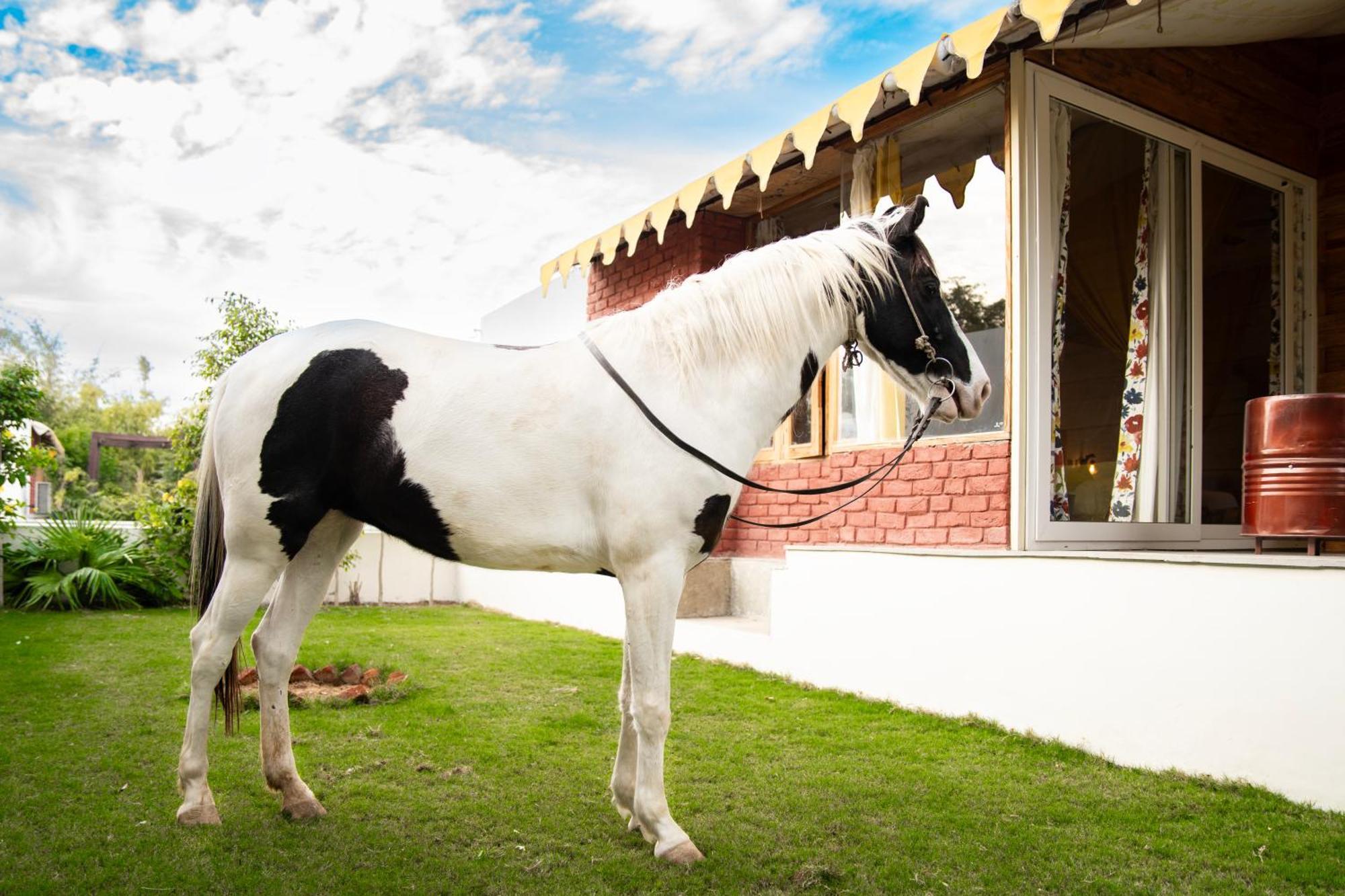 Aranya By Stories * Jaipur