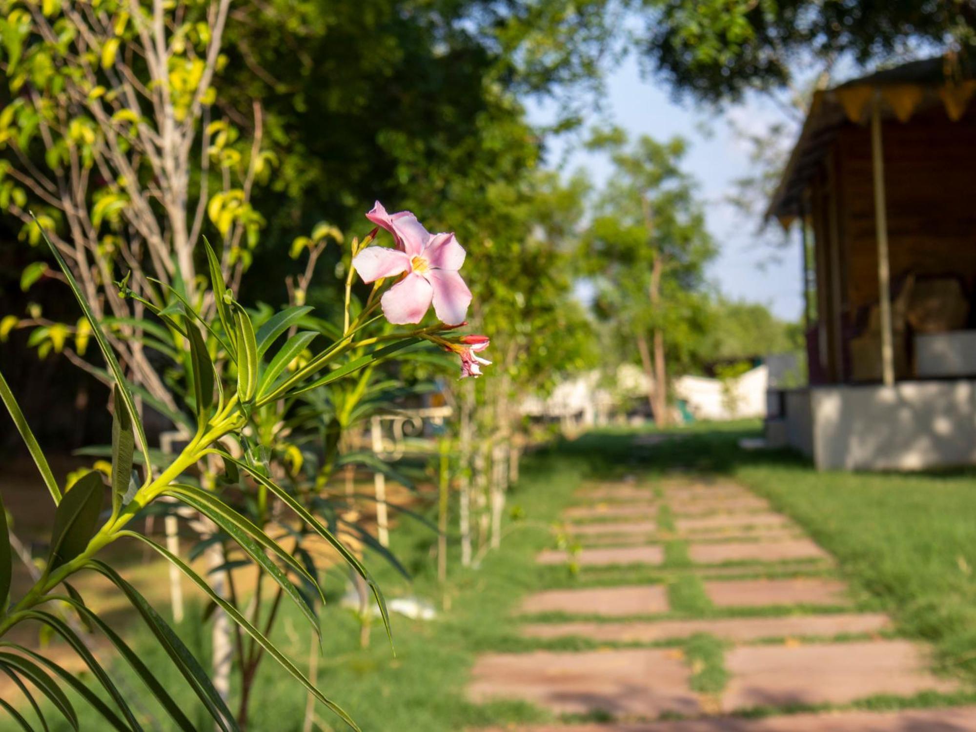 Resort Aranya By Stories *