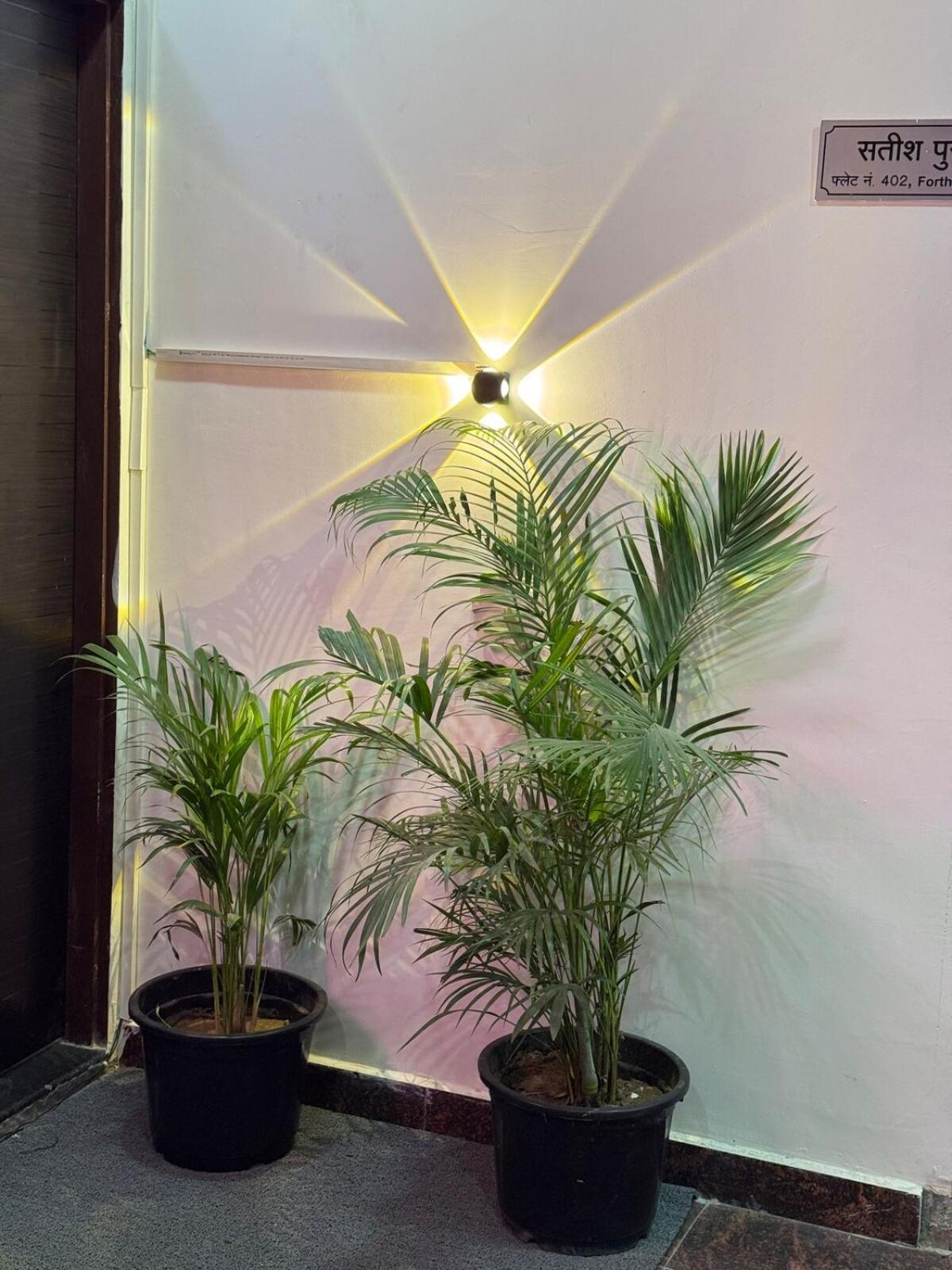 Apartment The Cozy Corner By Dreamstays