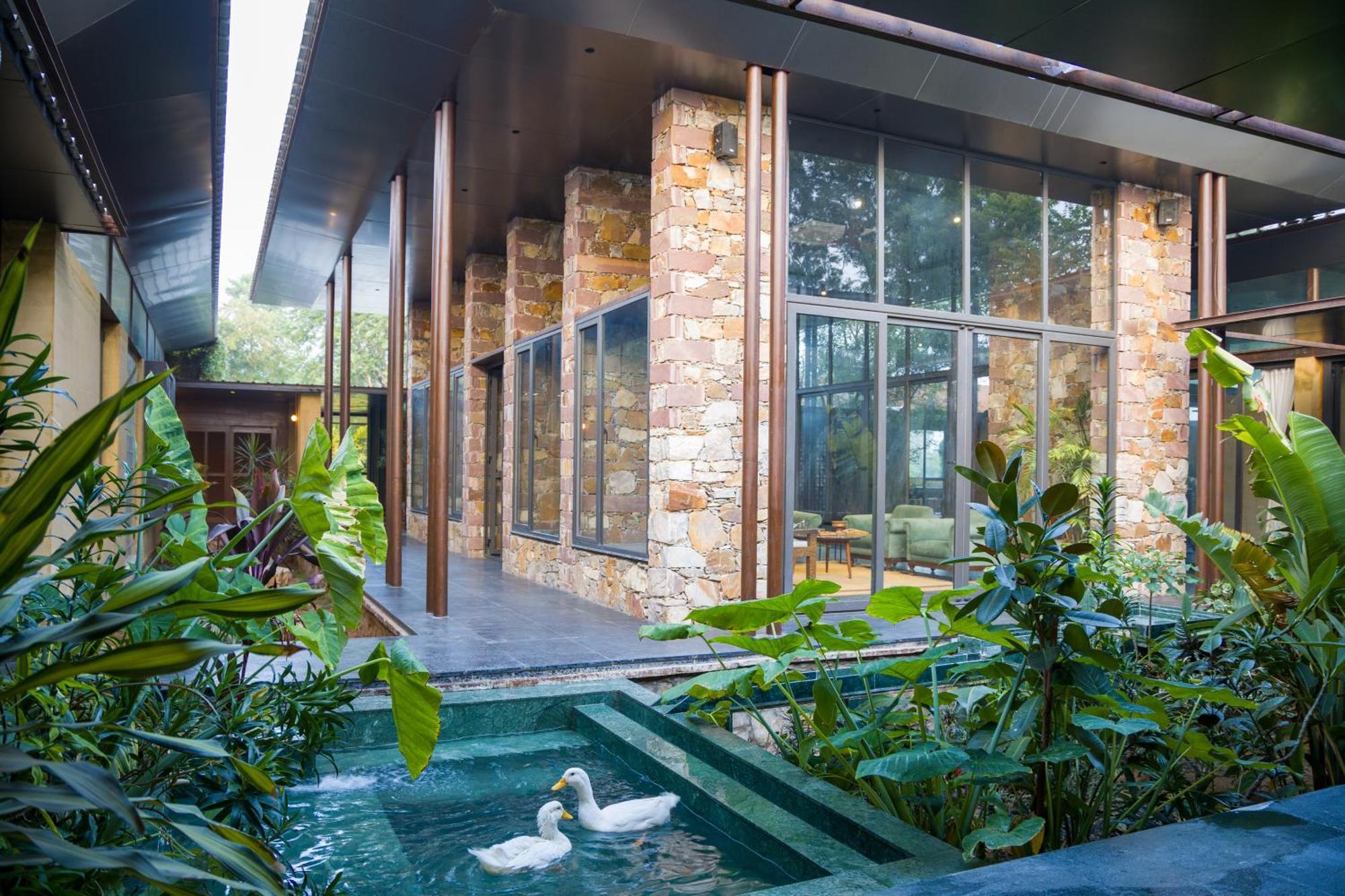 Villa Elivaas Hari Bagh 4 Bhk With Gaming Zone & Art Nook Jaipur