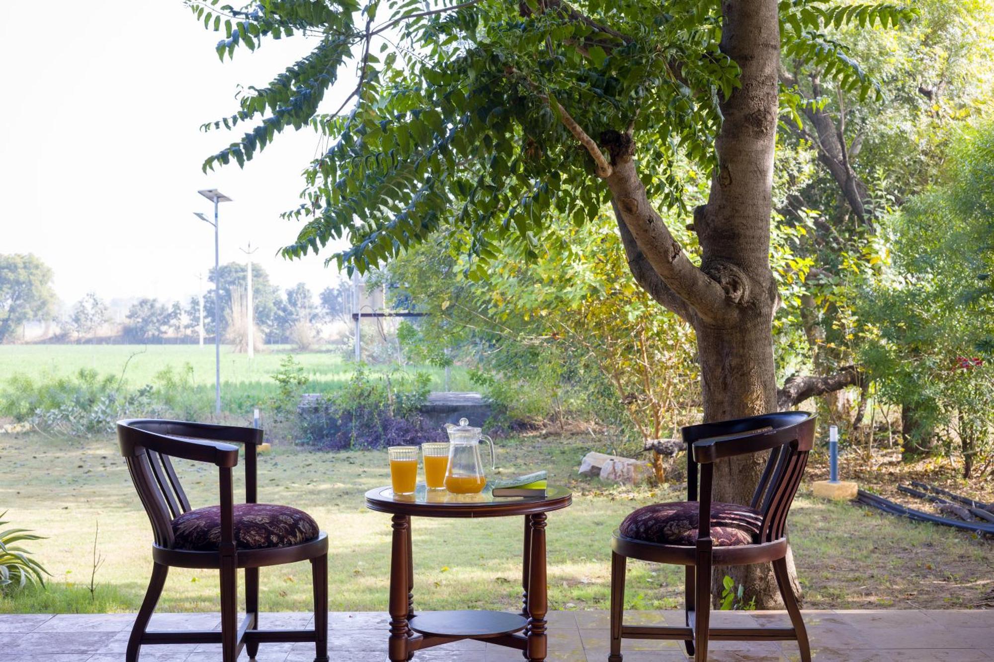 Elivaas Hari Bagh 4 Bhk With Gaming Zone & Art Nook Villa