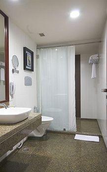Vesta International 4* Jaipur