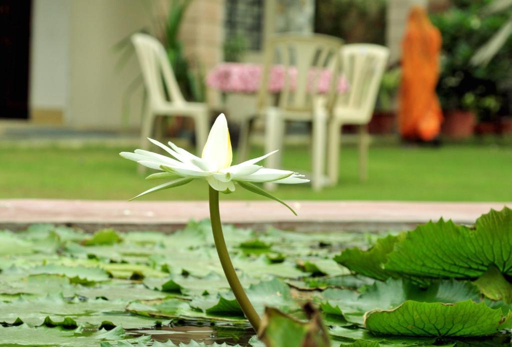 Jai Niwas 3* Jaipur