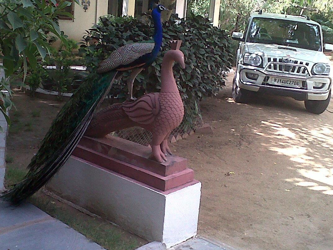 Shahar Palace Jaipur