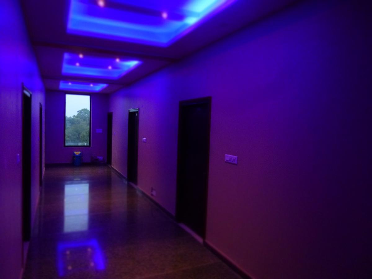 Hotel Royal Celebration 3*