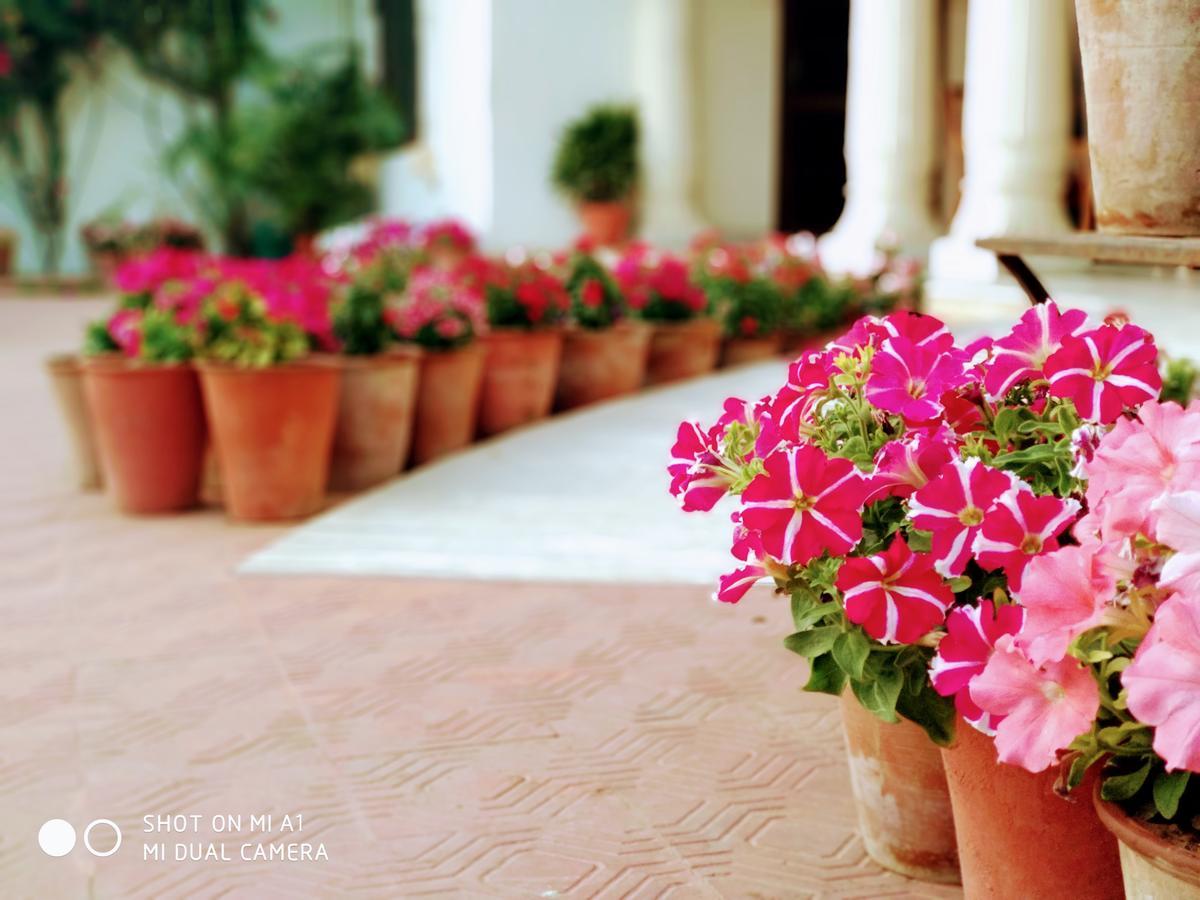 Meghniwas Hotel
