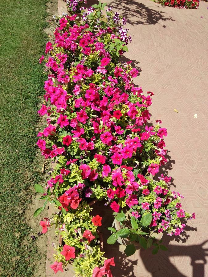 Meghniwas 3* Jaipur