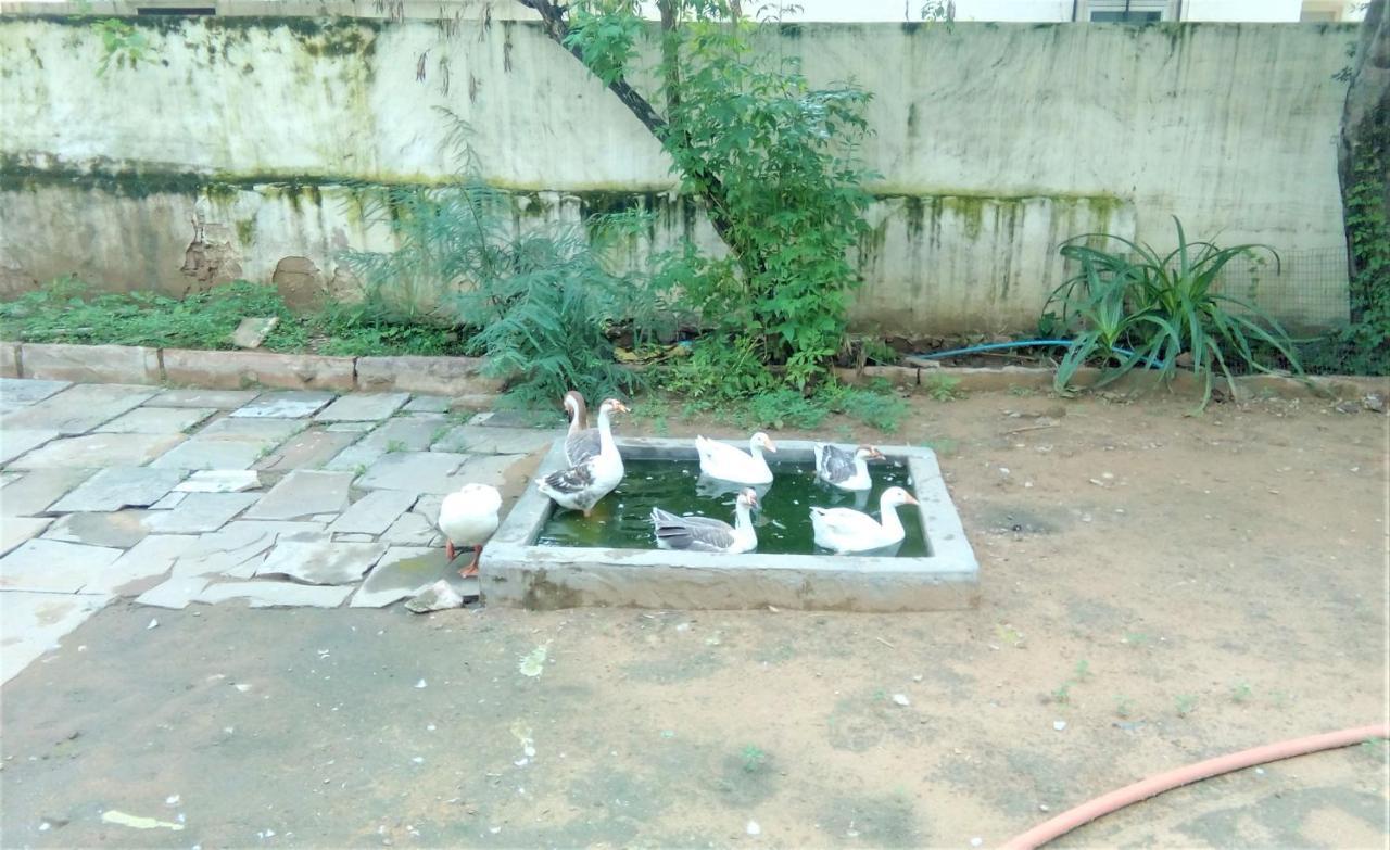 Homestay Shree Niwas