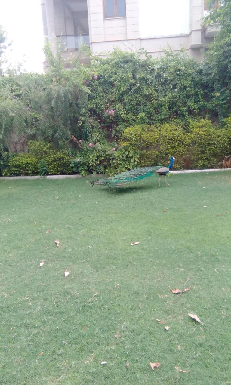 Shree Niwas Homestay *