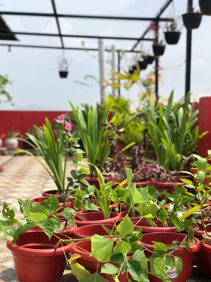 Guest house Bhoora House