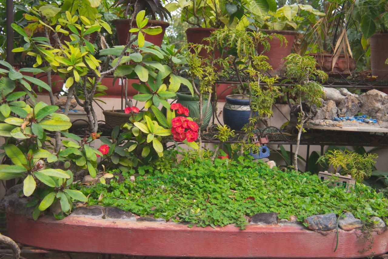 Tara Niwas Jaipur